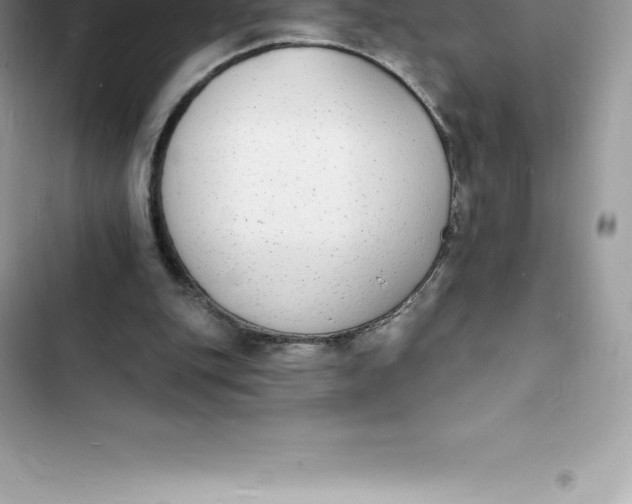 X0000103300151200809191902