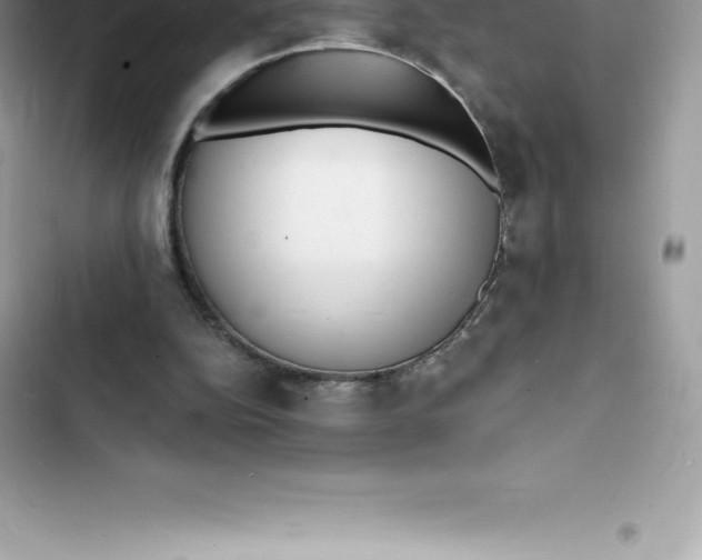 X0000103300152200809191902