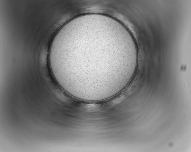 X0000103300153200809191903