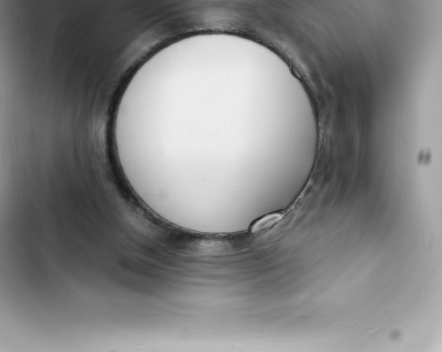 X0000103300154200809191903