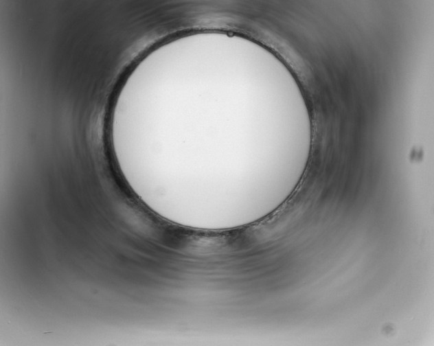 X0000103300155200809191903