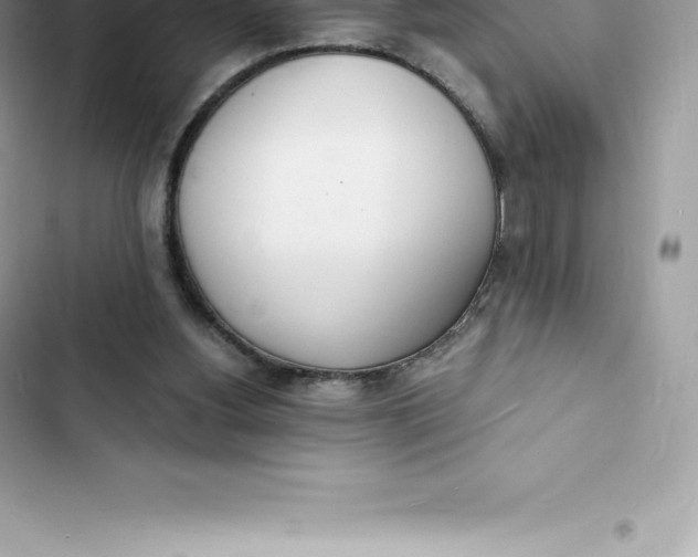 X0000103300156200809191903