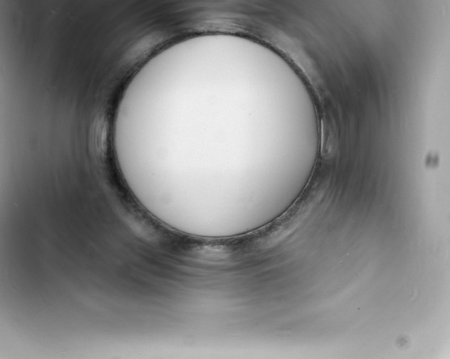 X0000103300157200809191903