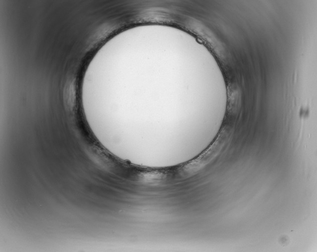 X0000103300158200809191903