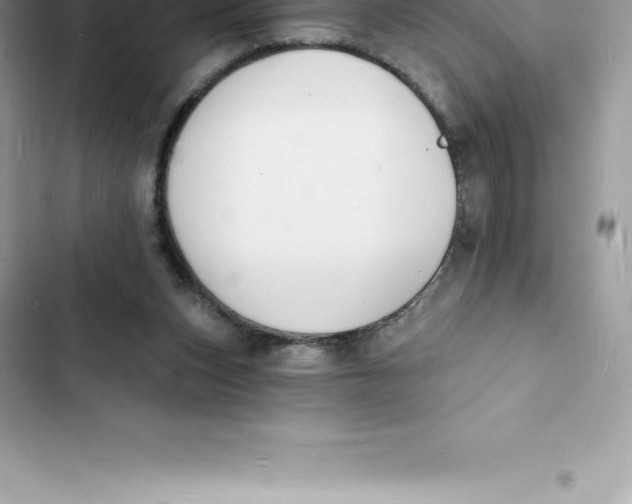 X0000103300159200809191903