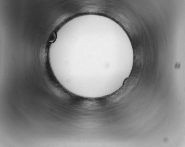 X0000103300160200809191903