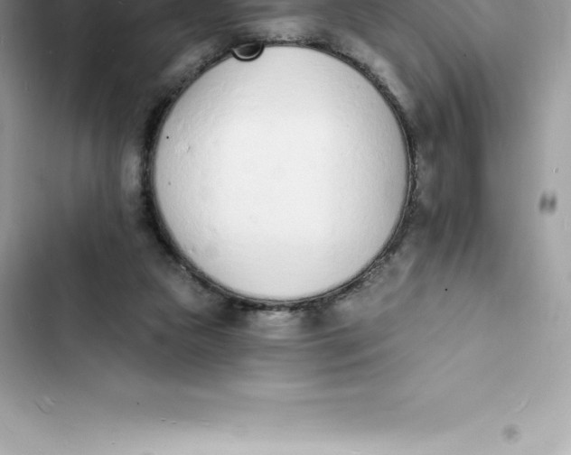 X0000103300161200809191903