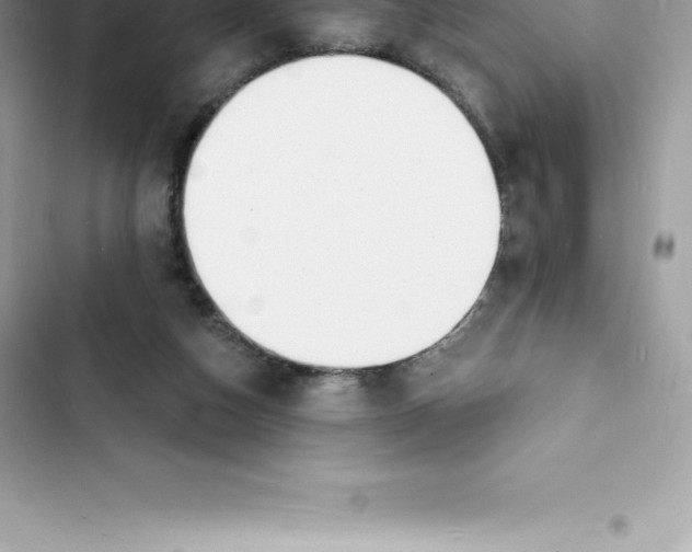 X0000103300162200809191903