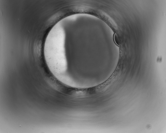 X0000103300163200809191903