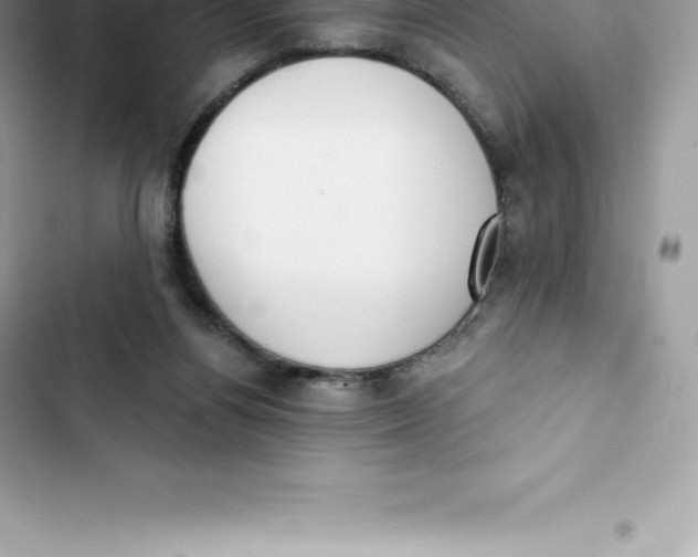 X0000103300164200809191903