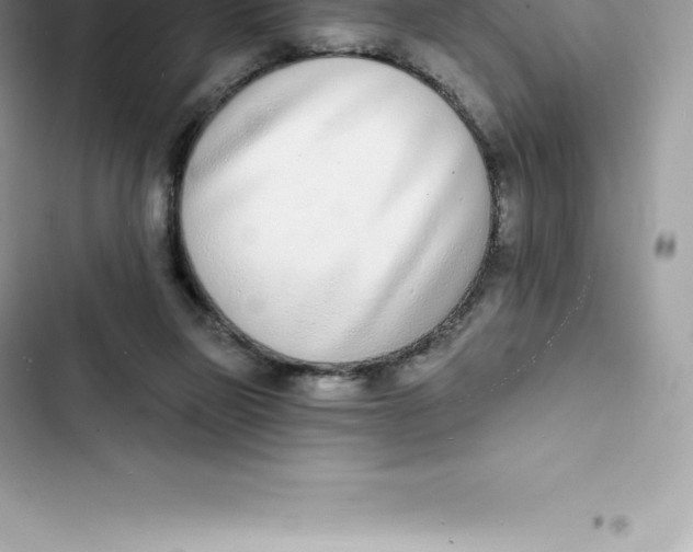 X0000103300165200809191903