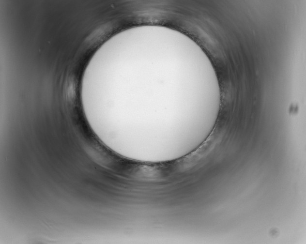 X0000103300166200809191903