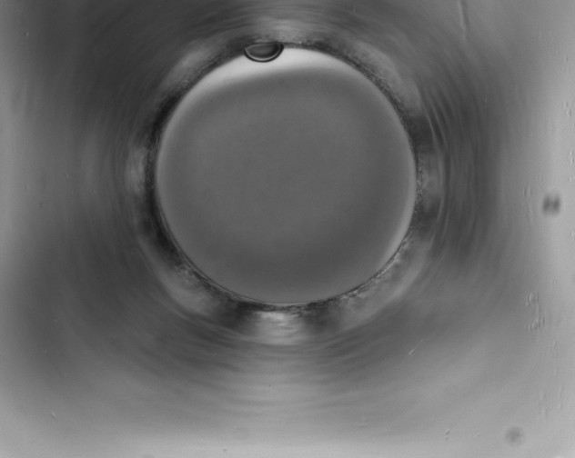 X0000103300167200809191903