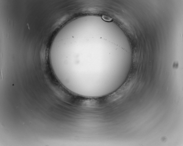 X0000103300168200809191903