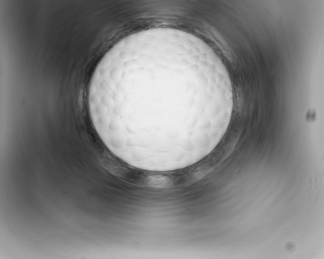 X0000103300169200809191903