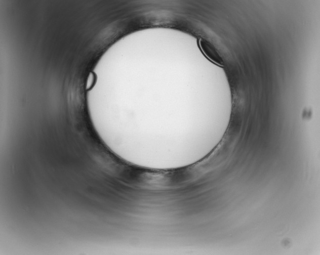 X0000103300170200809191903