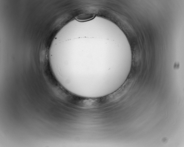 X0000103300172200809191903