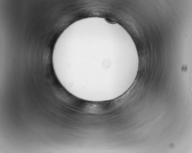 X0000103300174200809191903