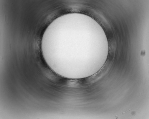 X0000103300175200809191903