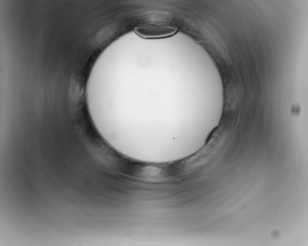 X0000103300176200809191903