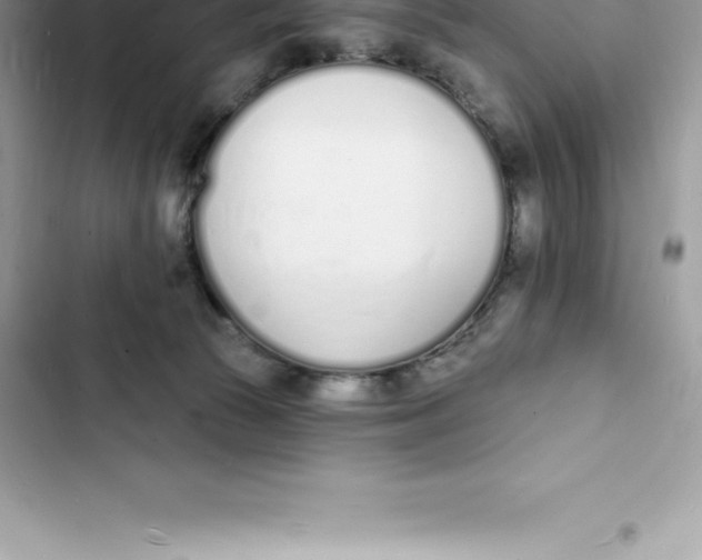 X0000103300177200809191903