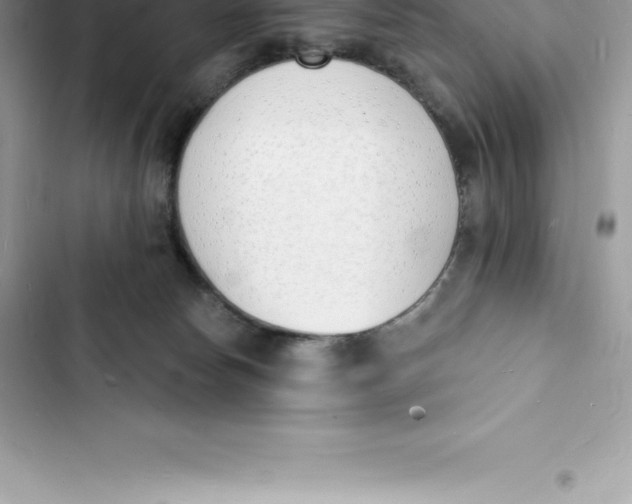 X0000103300178200809191903