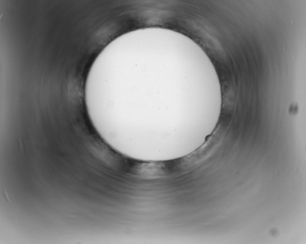 X0000103300179200809191903