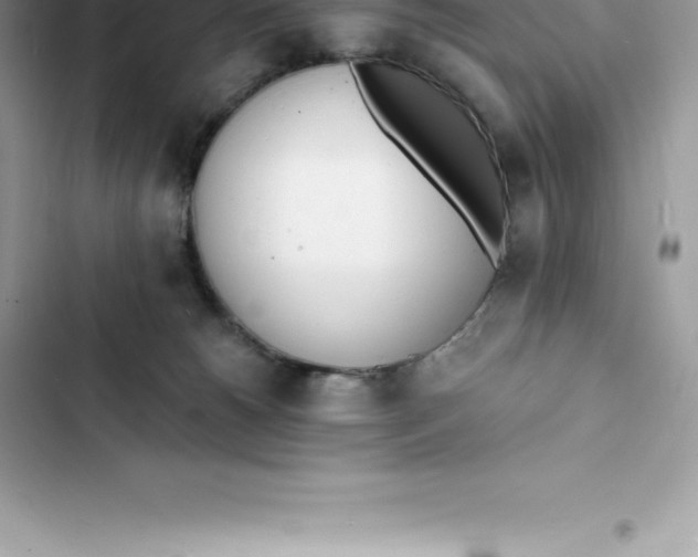 X0000103300180200809191903