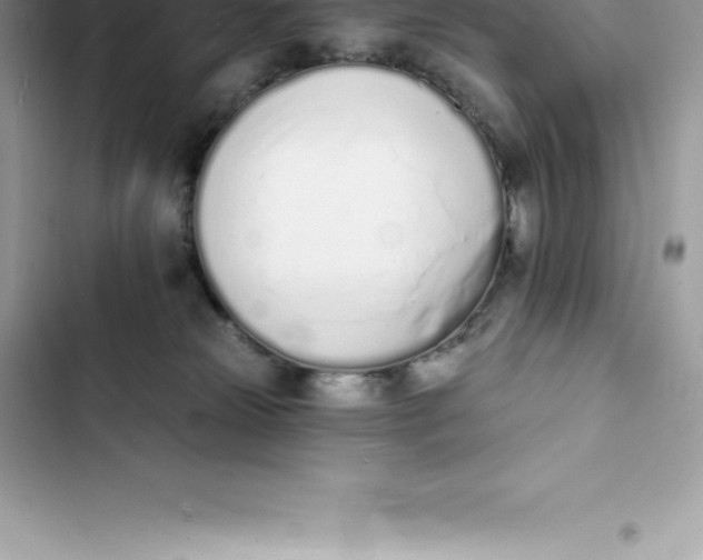 X0000103300181200809191903