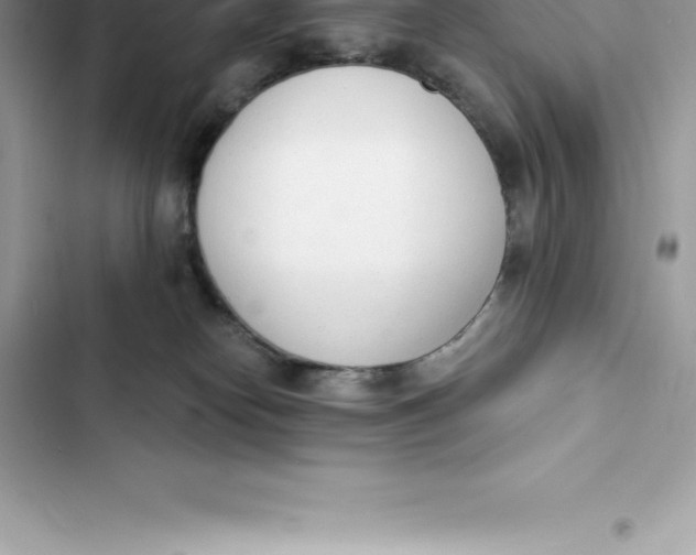 X0000103300182200809191903