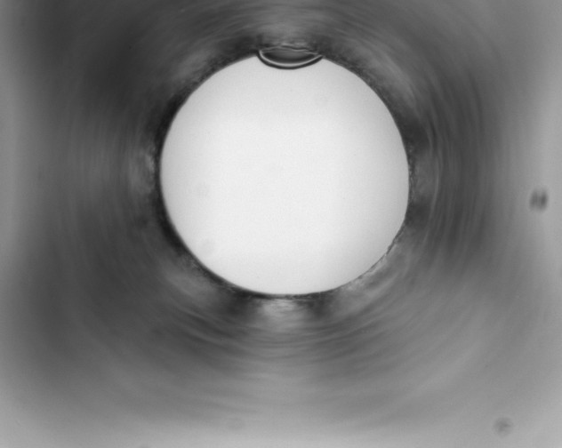 X0000103300183200809191903