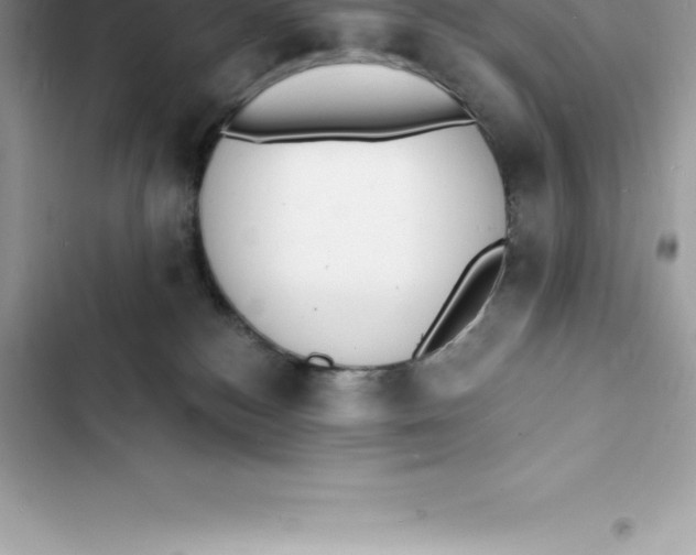 X0000103300184200809191903