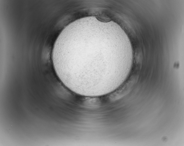 X0000103300185200809191903