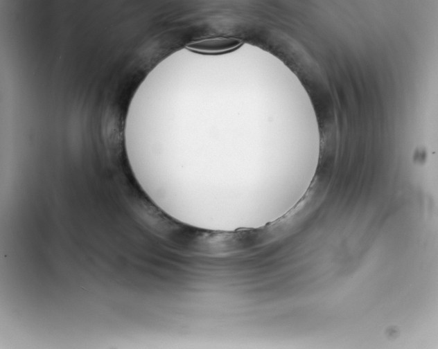 X0000103300186200809191903