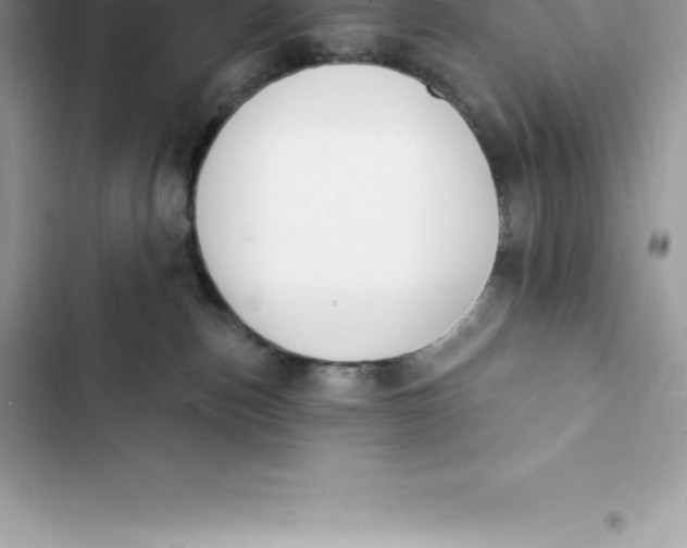 X0000103300187200809191903