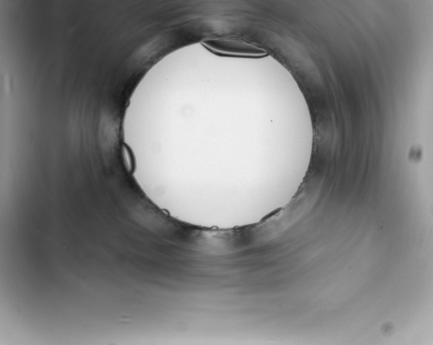 X0000103300188200809191903