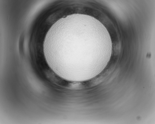 X0000103300189200809191903