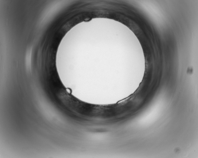 X0000103300190200809191903