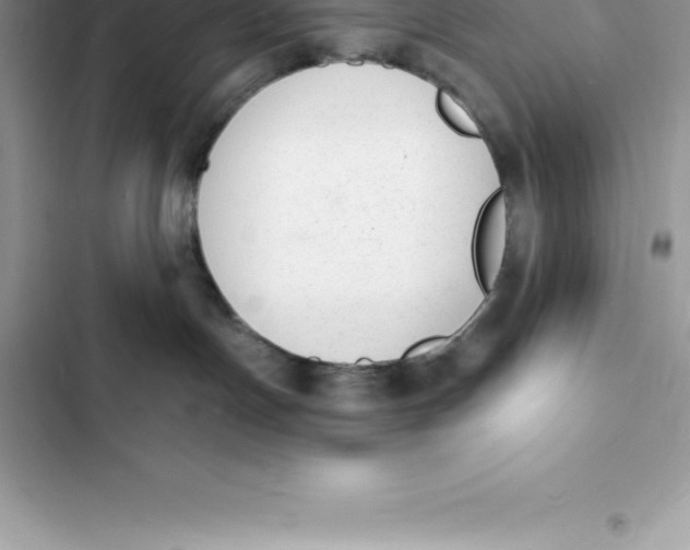 X0000103300191200809191903