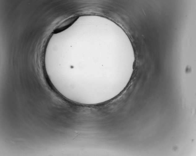 X0000103300193200809191902