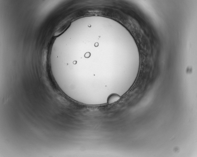 X0000103300194200809191902