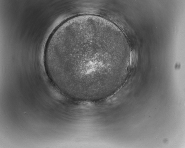 X0000103300195200809191902