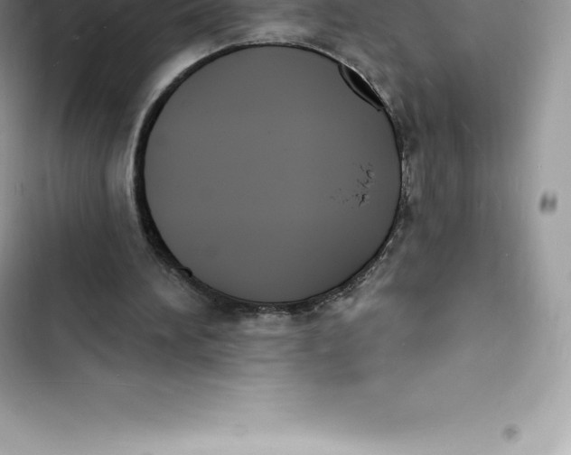 X0000103300196200809191902