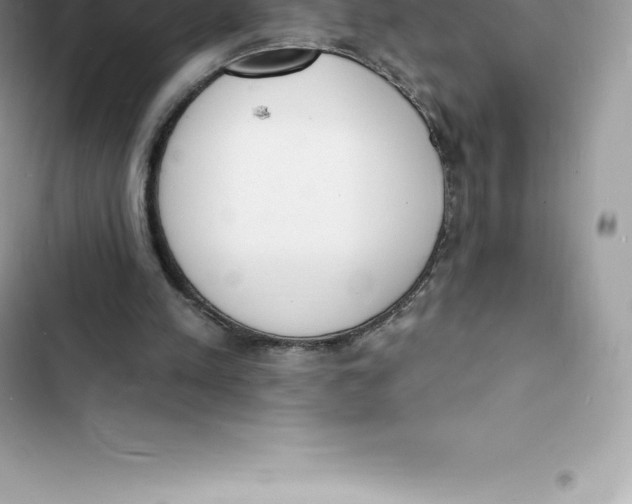 X0000103300197200809191902