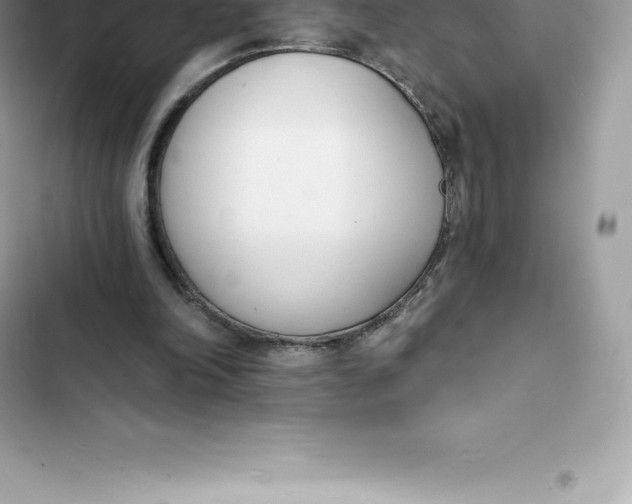 X0000103300198200809191902