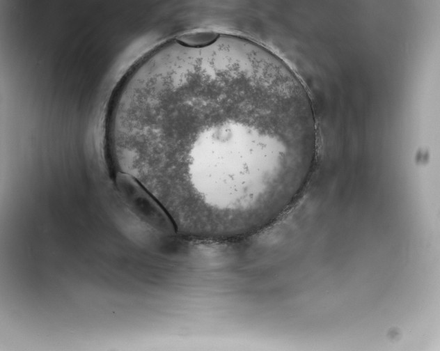 X0000103300199200809191902