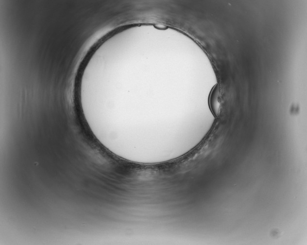 X0000103300200200809191902