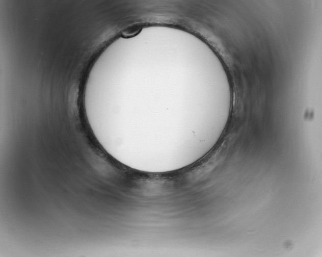 X0000103300201200809191902