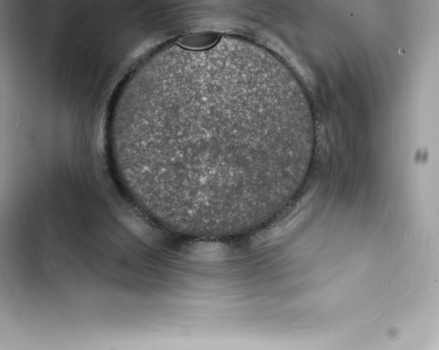 X0000103300203200809191902