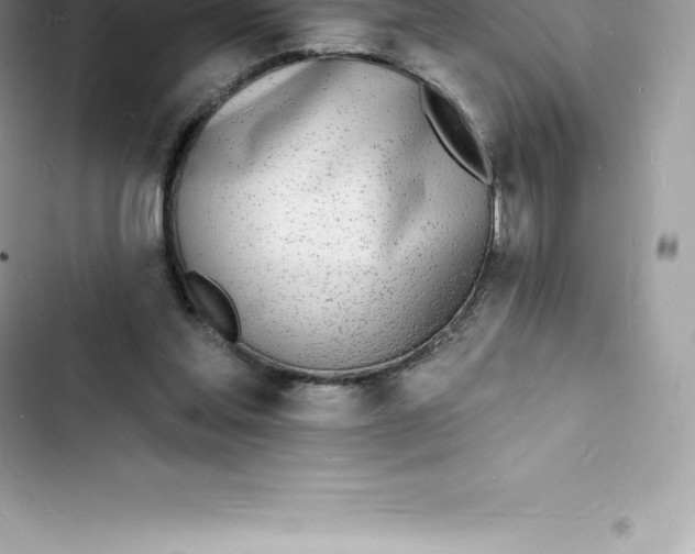 X0000103300205200809191902